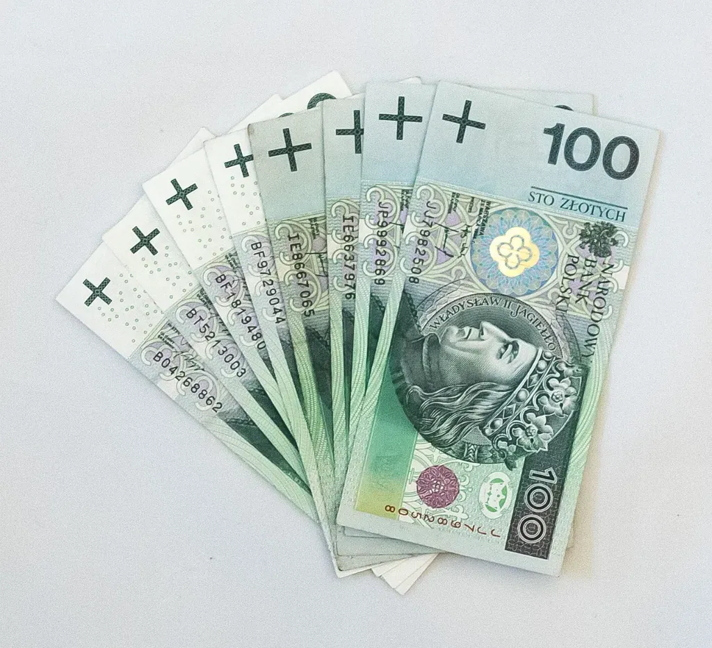 Na jakie wydatki najczęściej przeznaczane jest 800 zł